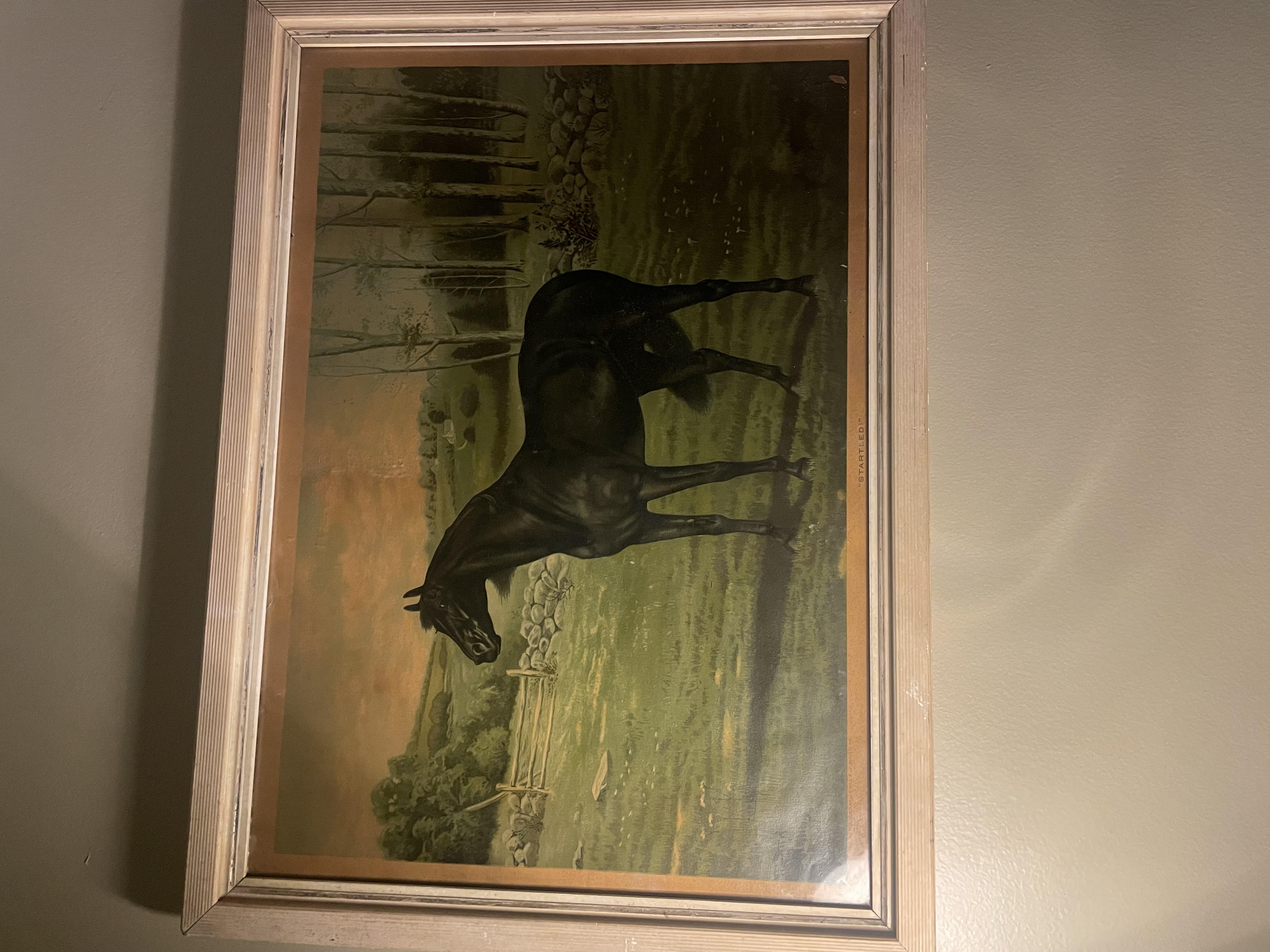 Early 20th Century Horse Lithograph