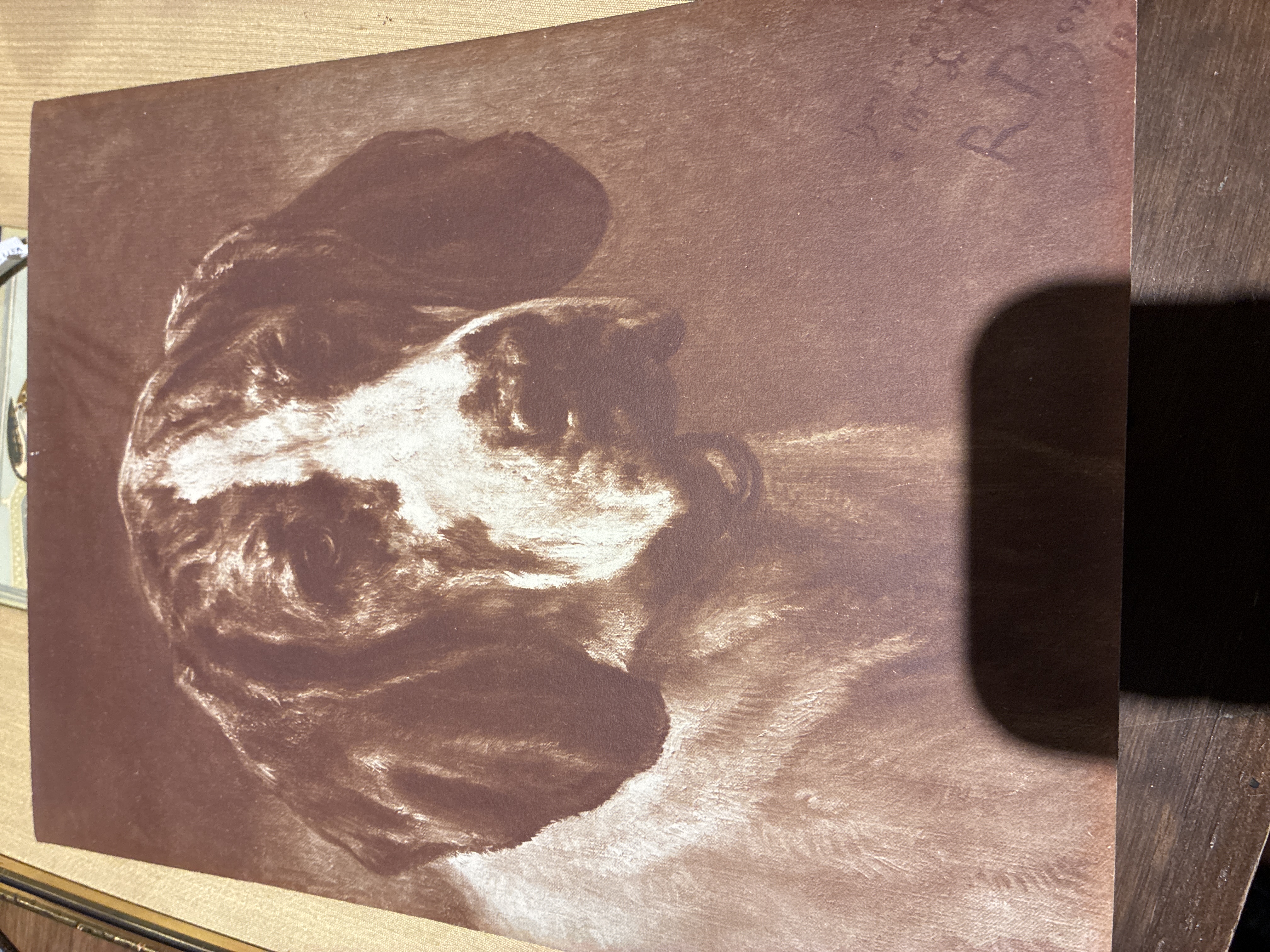 Edwardian Sepia Dog Portrait Print