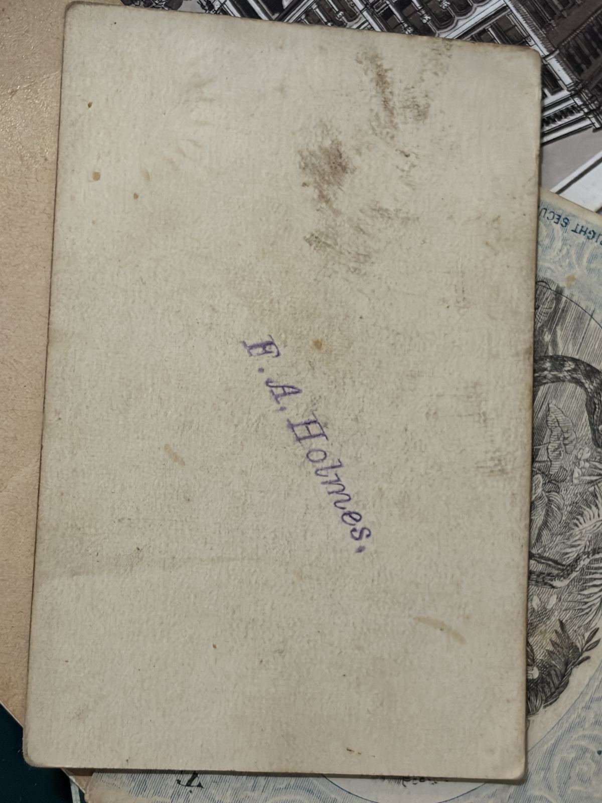 Victorian Chromolithograph Natural History Trade Cards (Group of Three) thumbnail 3