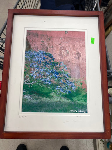 Contemporary Framed Color Photography