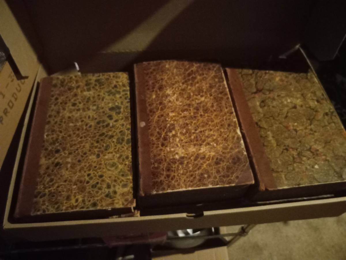 19th Century Leather-Bound 'Henry's Exposition' Books thumbnail 6