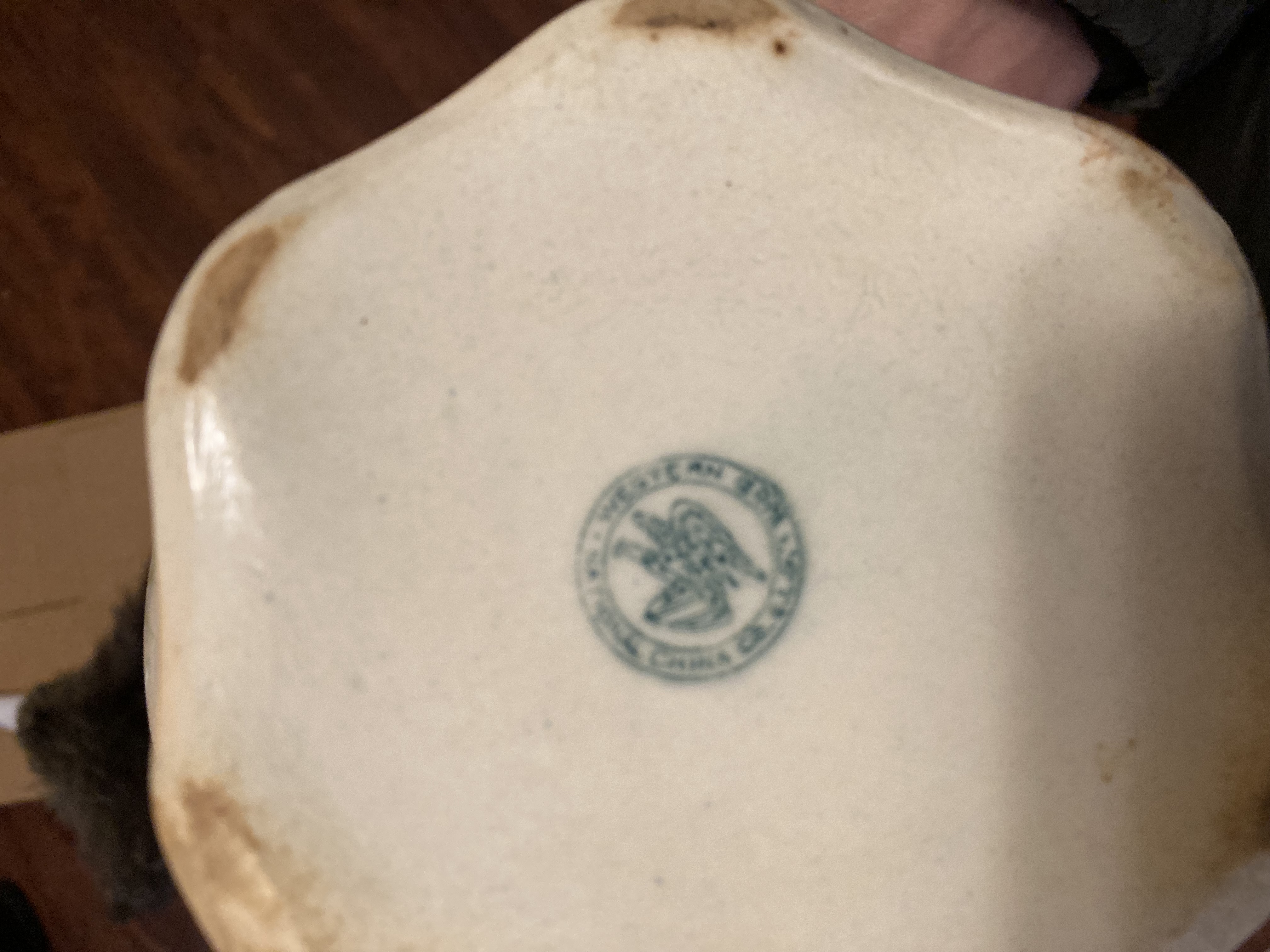 Limoges Porcelain Dish