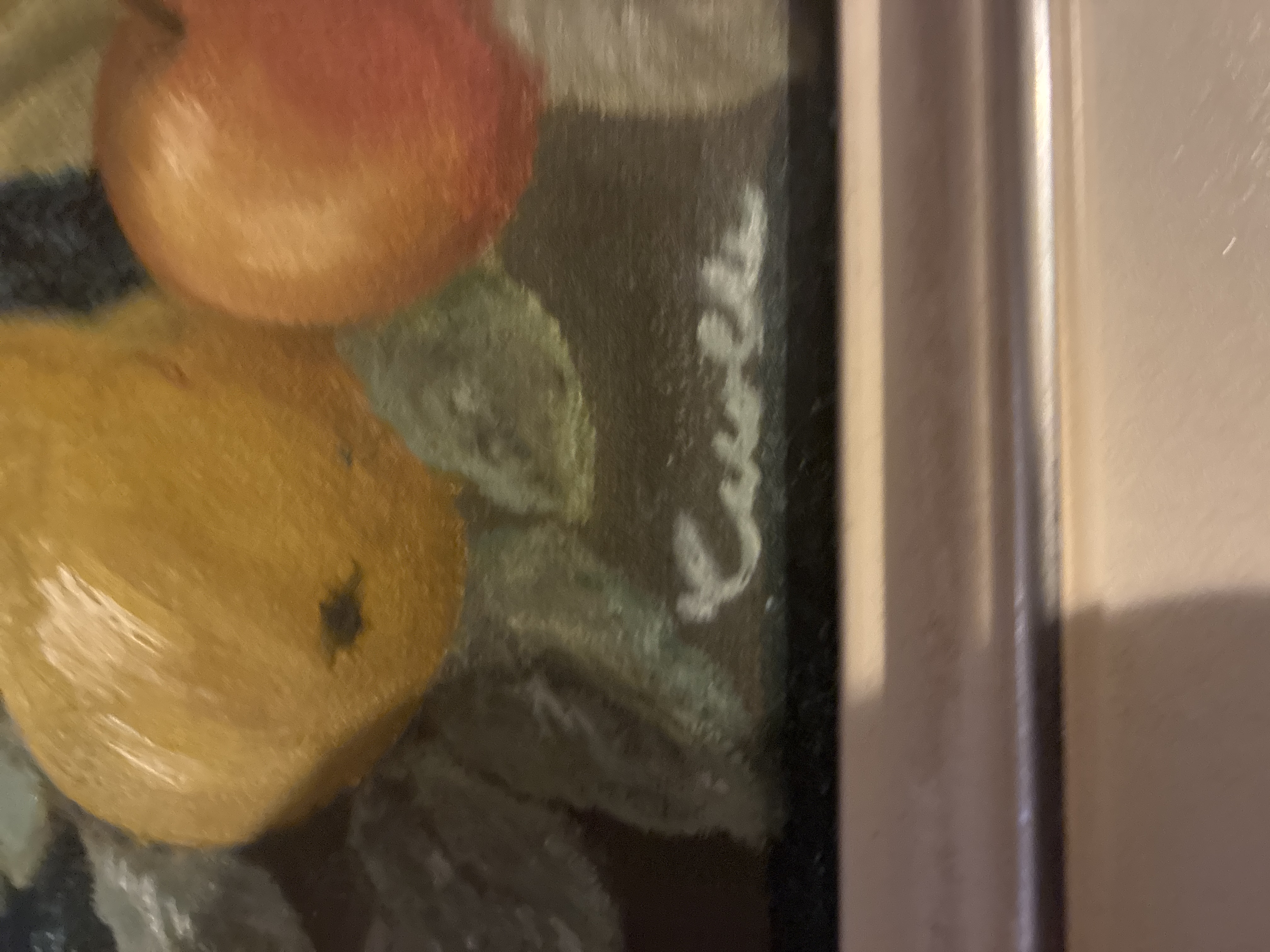 Castelli School Still Life Oil Painting