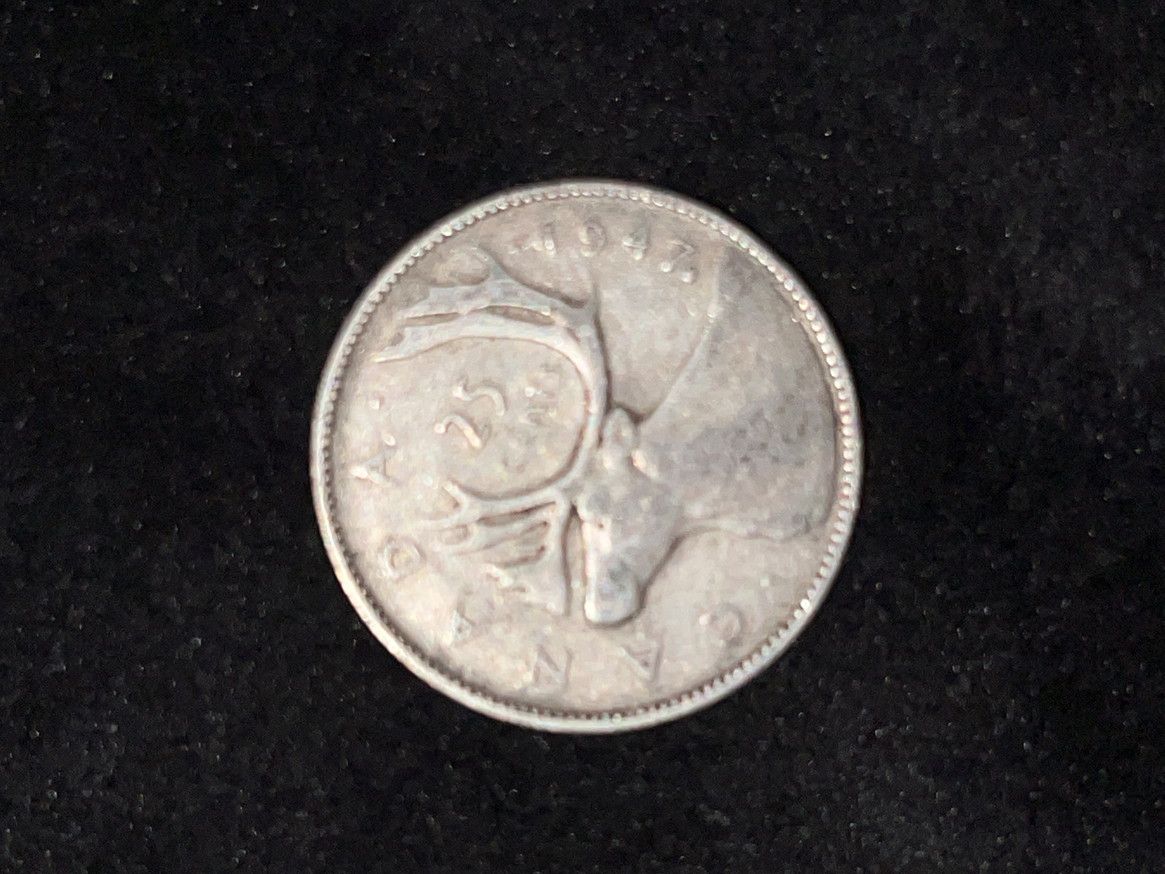 Canadian Silver Quarter Moose Reverse (1942)
