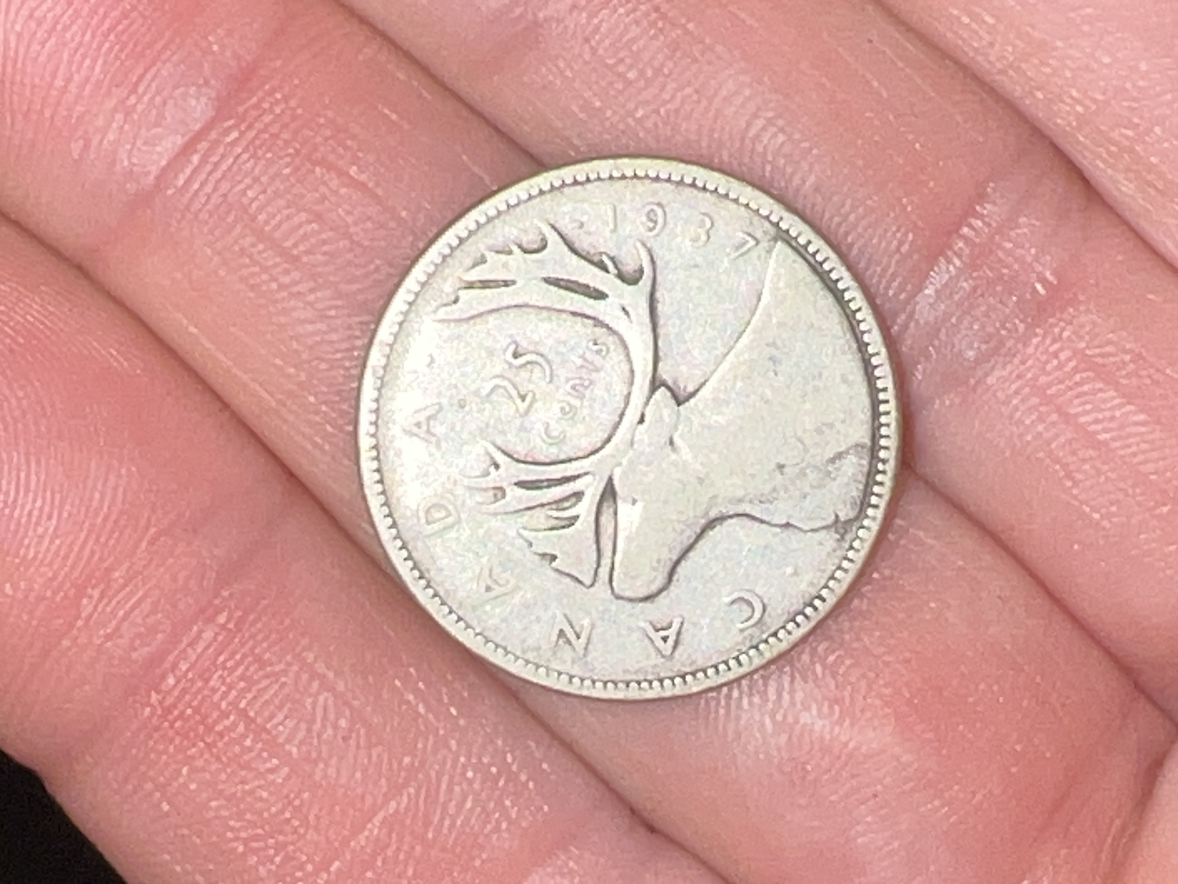 Canadian Silver Caribou 25-Cent Coin (1937)