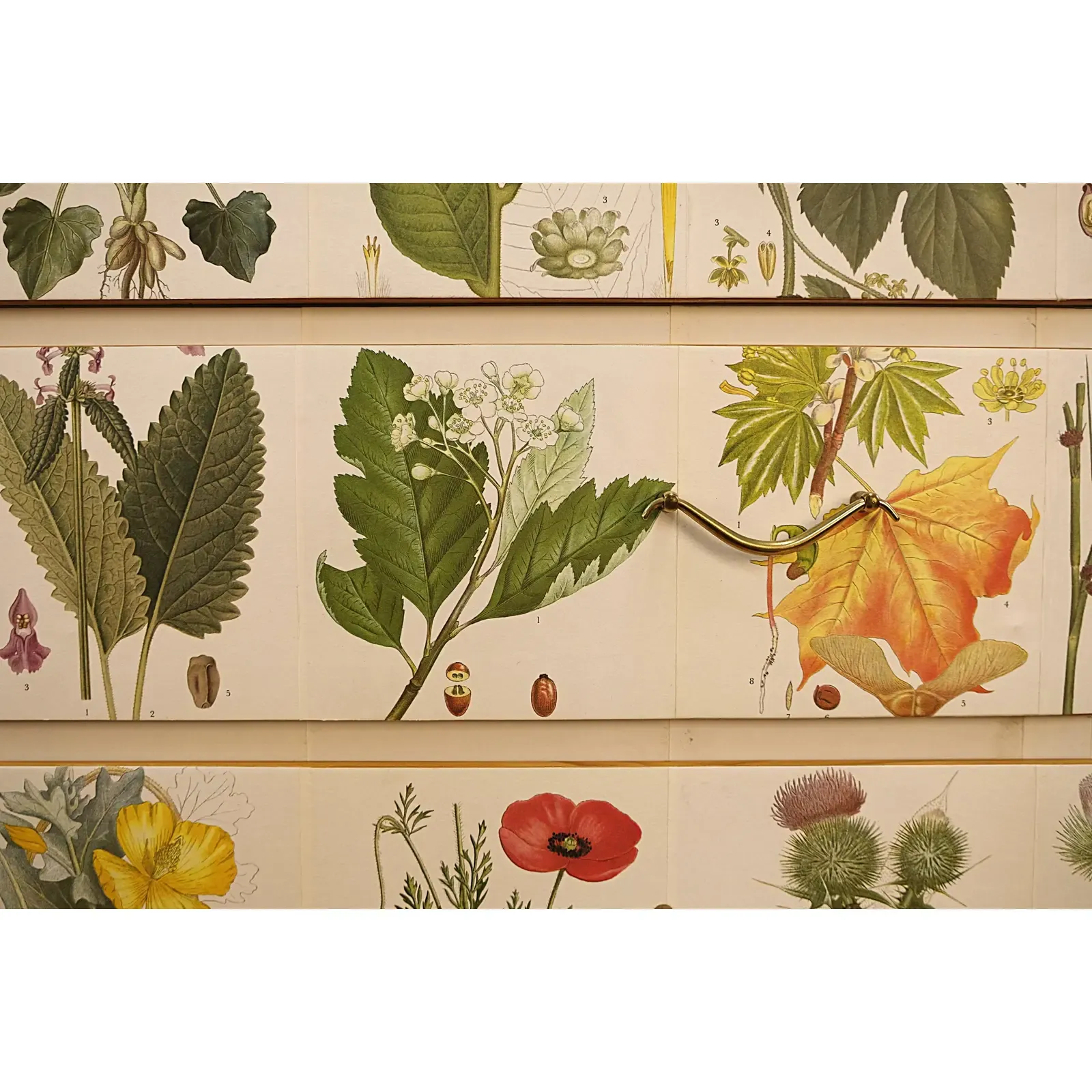 Scandinavian Modern Botanical Decoupage Pine Chest of Drawers thumbnail 2
