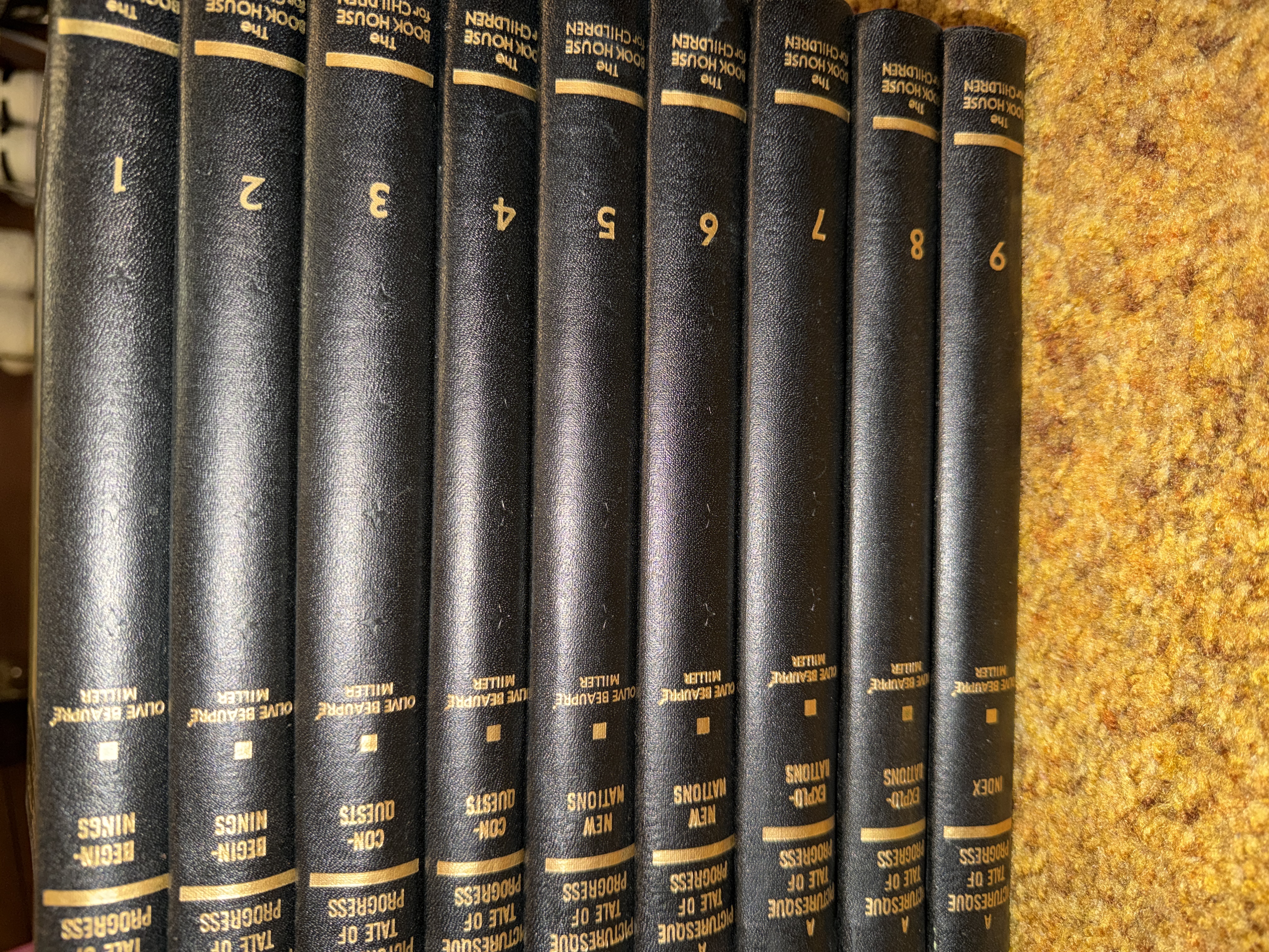 A Picturesque Tale of Progress by Olive Beaupré Miller (9-Volume Set)