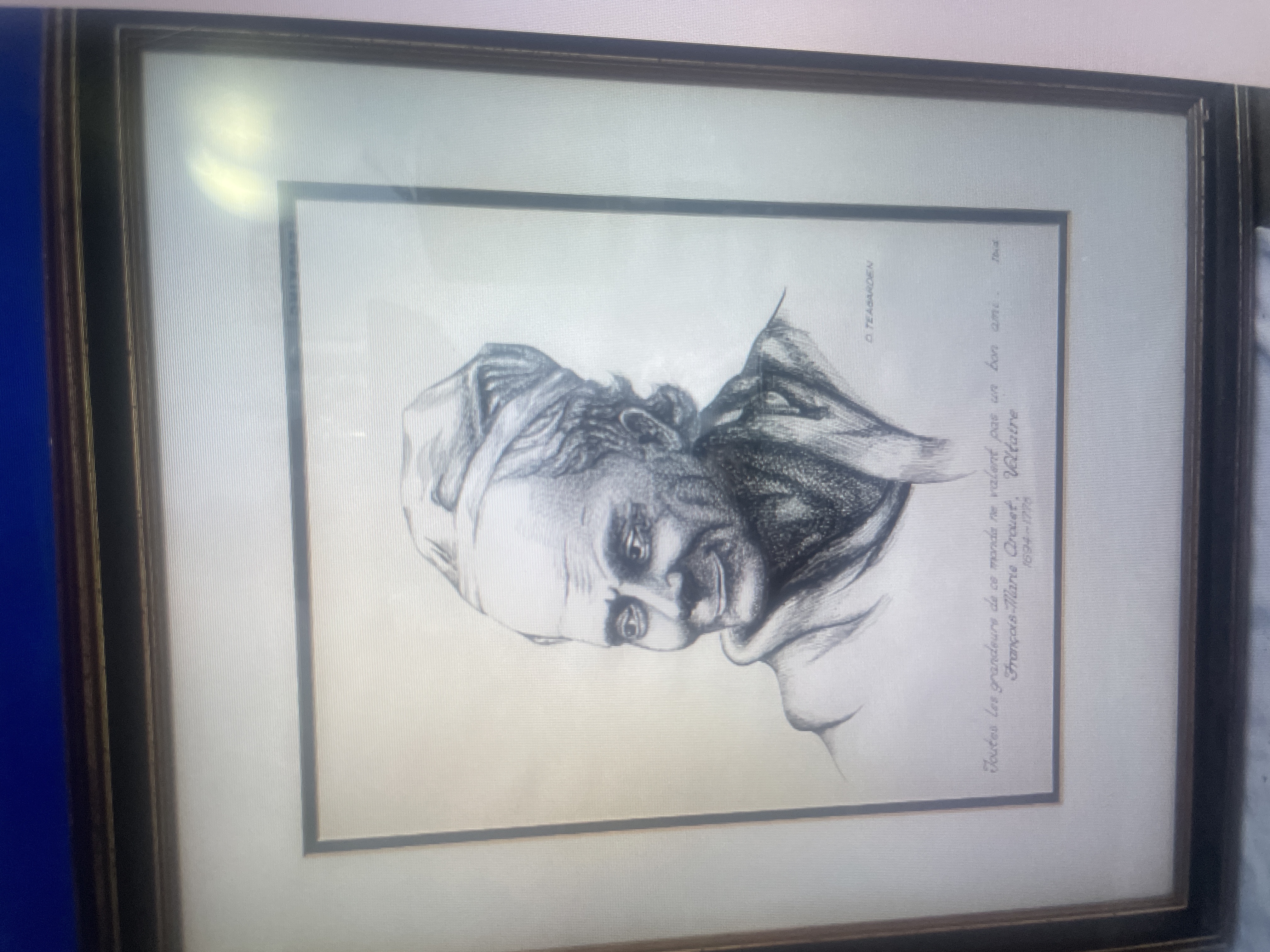 Portrait Drawing of Voltaire by D. Teagarden (After Houdon)
