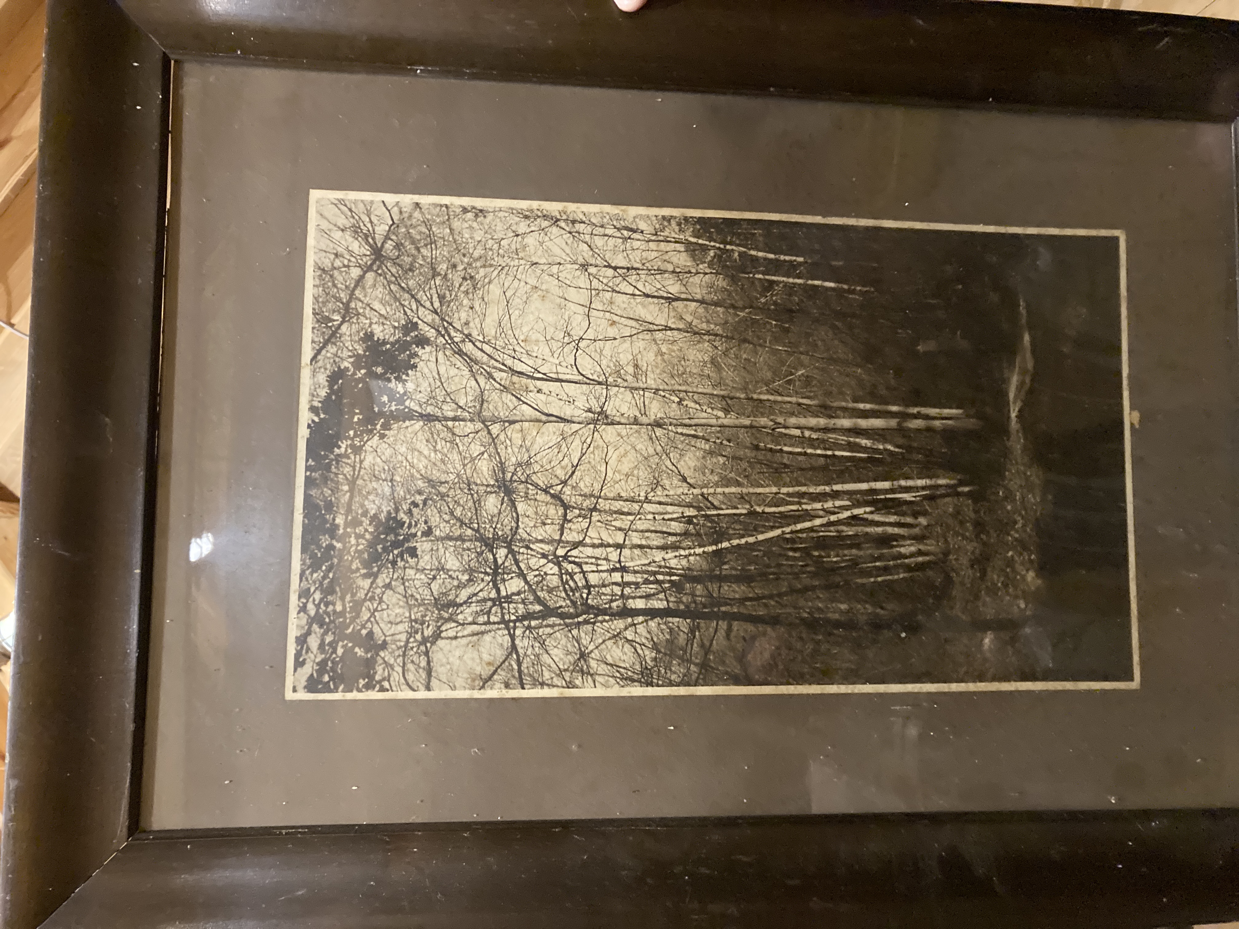 Early 20th Century Framed Landscape Photograph