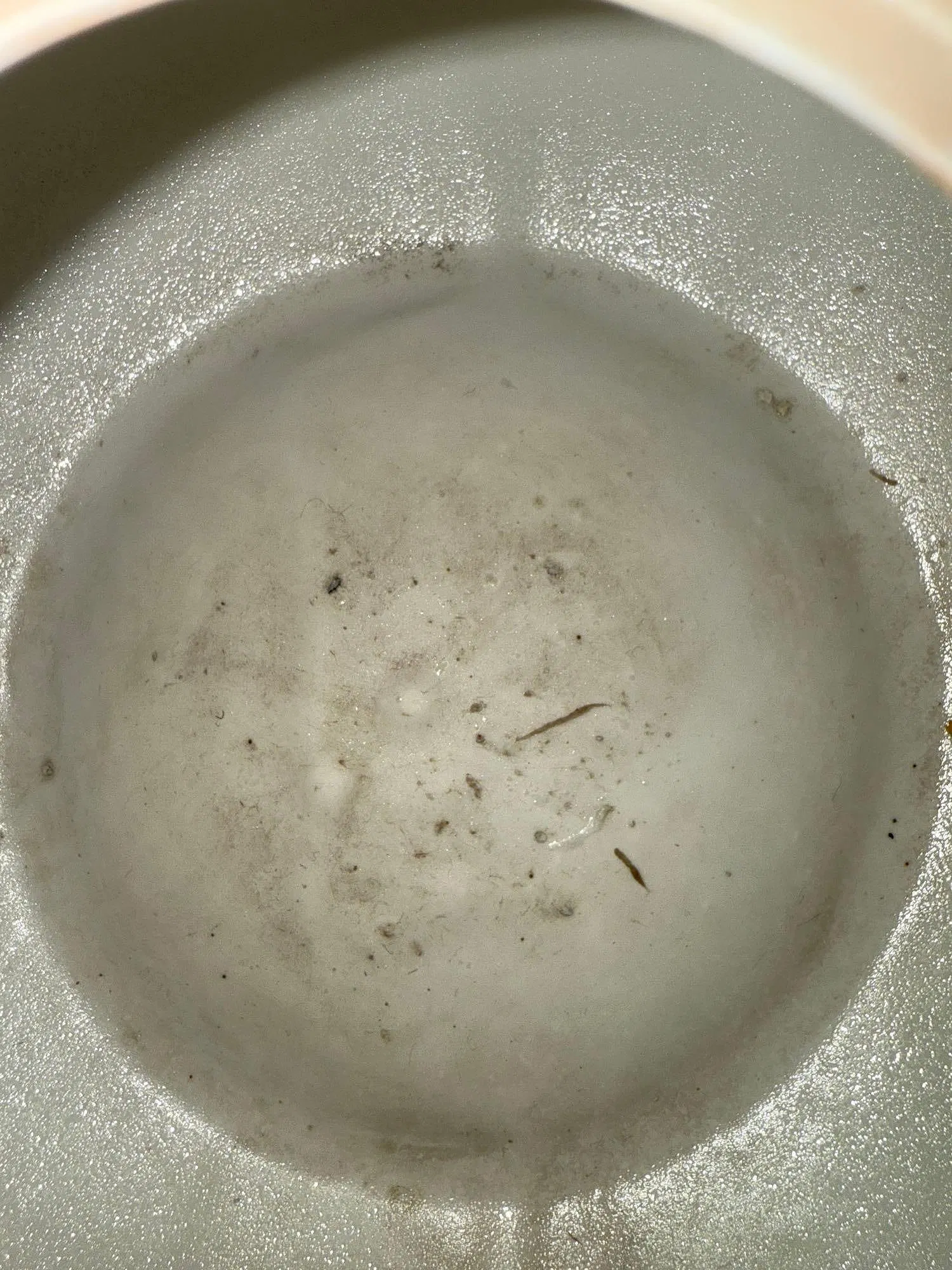 Chinese Late Qing/Republic Period Wucai Style Porcelain Lidded Jar with Carp Decoration thumbnail 6