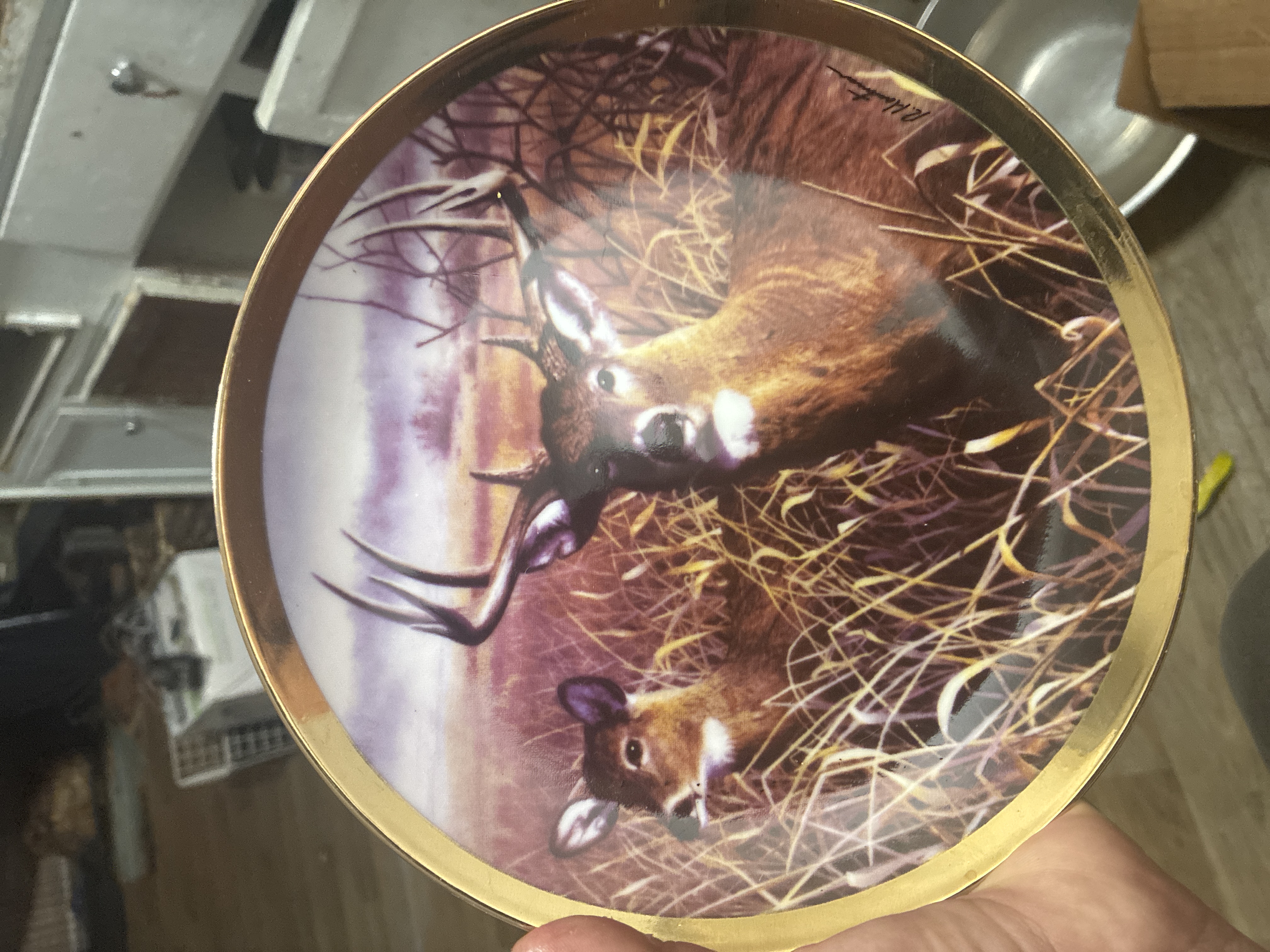 Decorative Wildlife Collector Plate