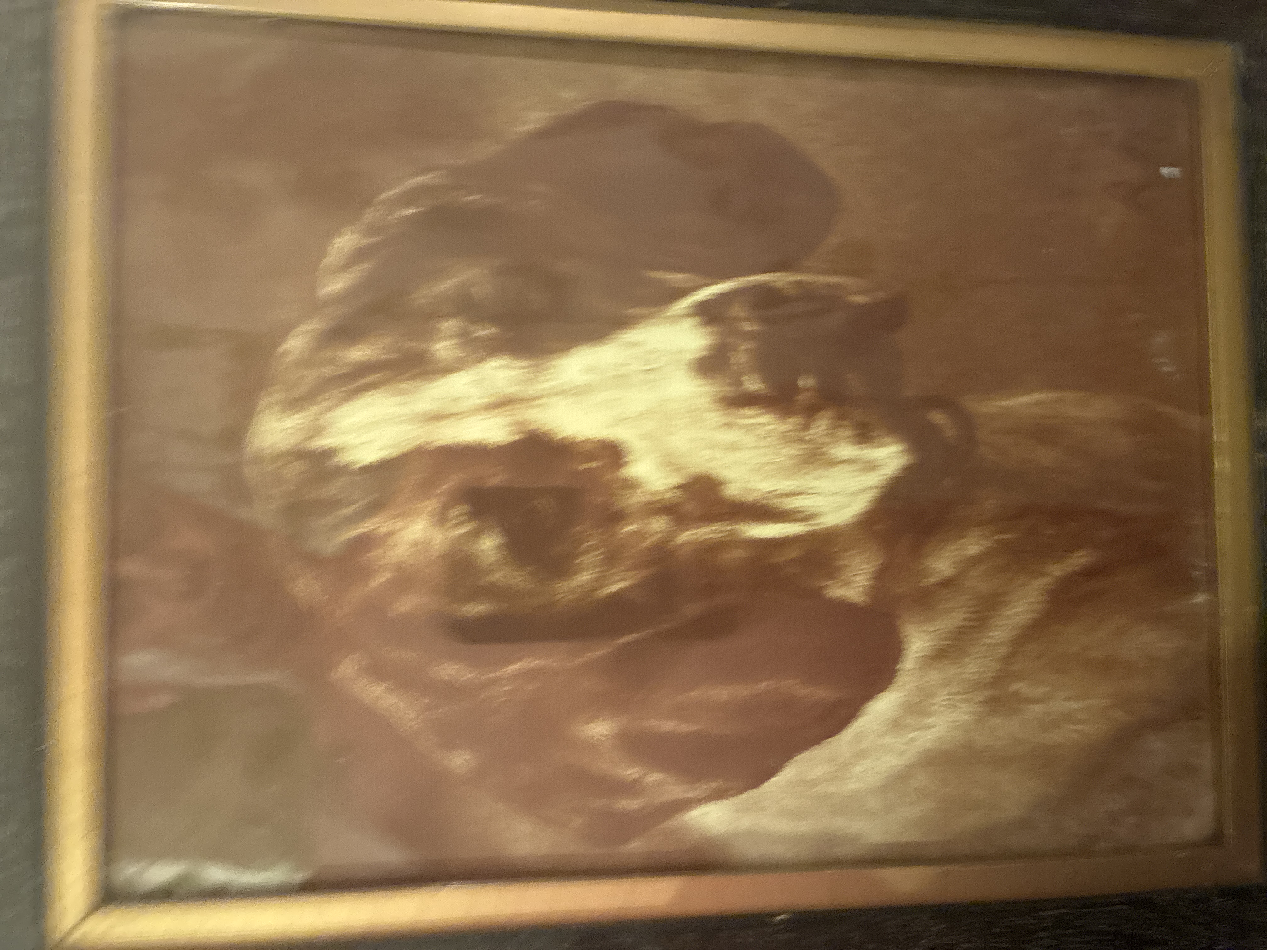 Early 20th Century Sepia Dog Portrait Print
