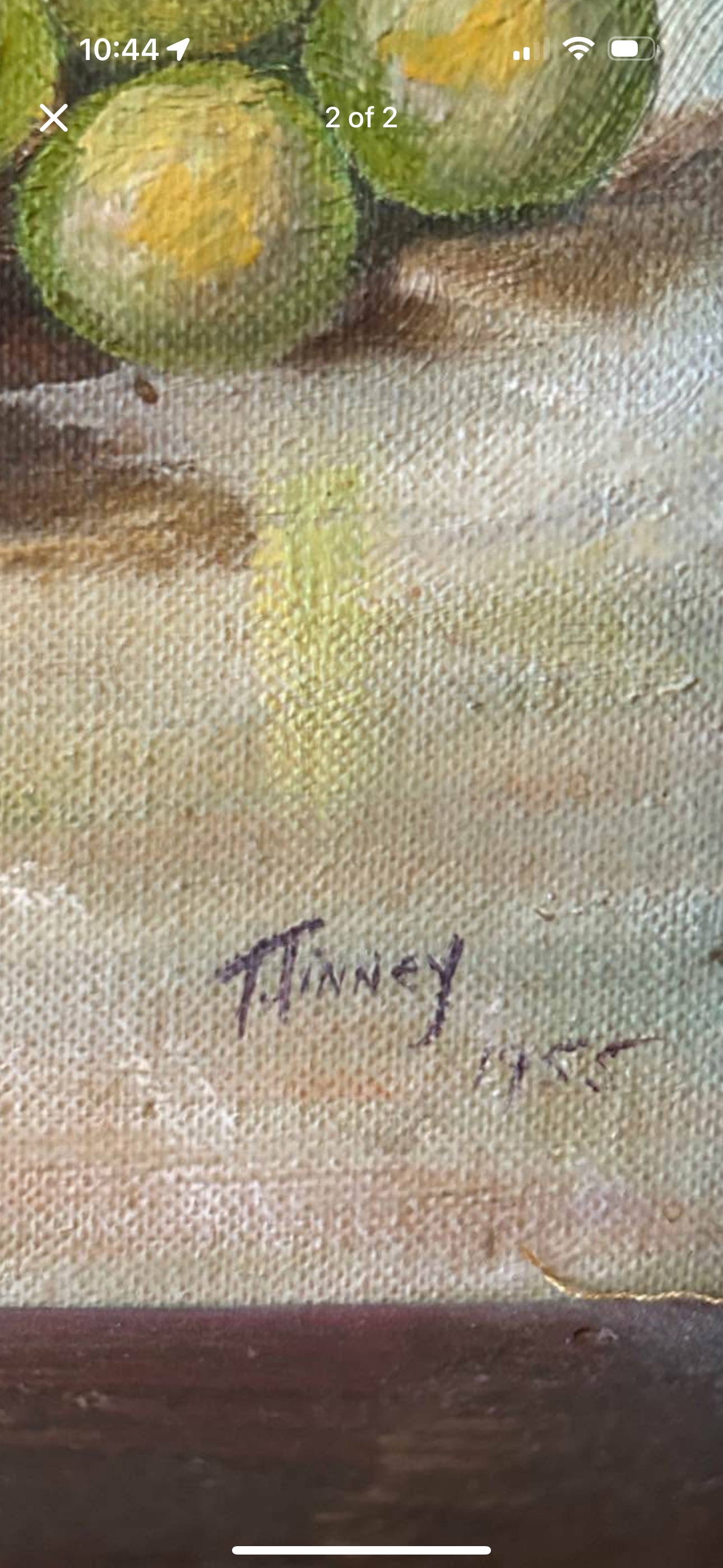 20th Century American Realist Oil on Canvas Still Life by T. Tinney