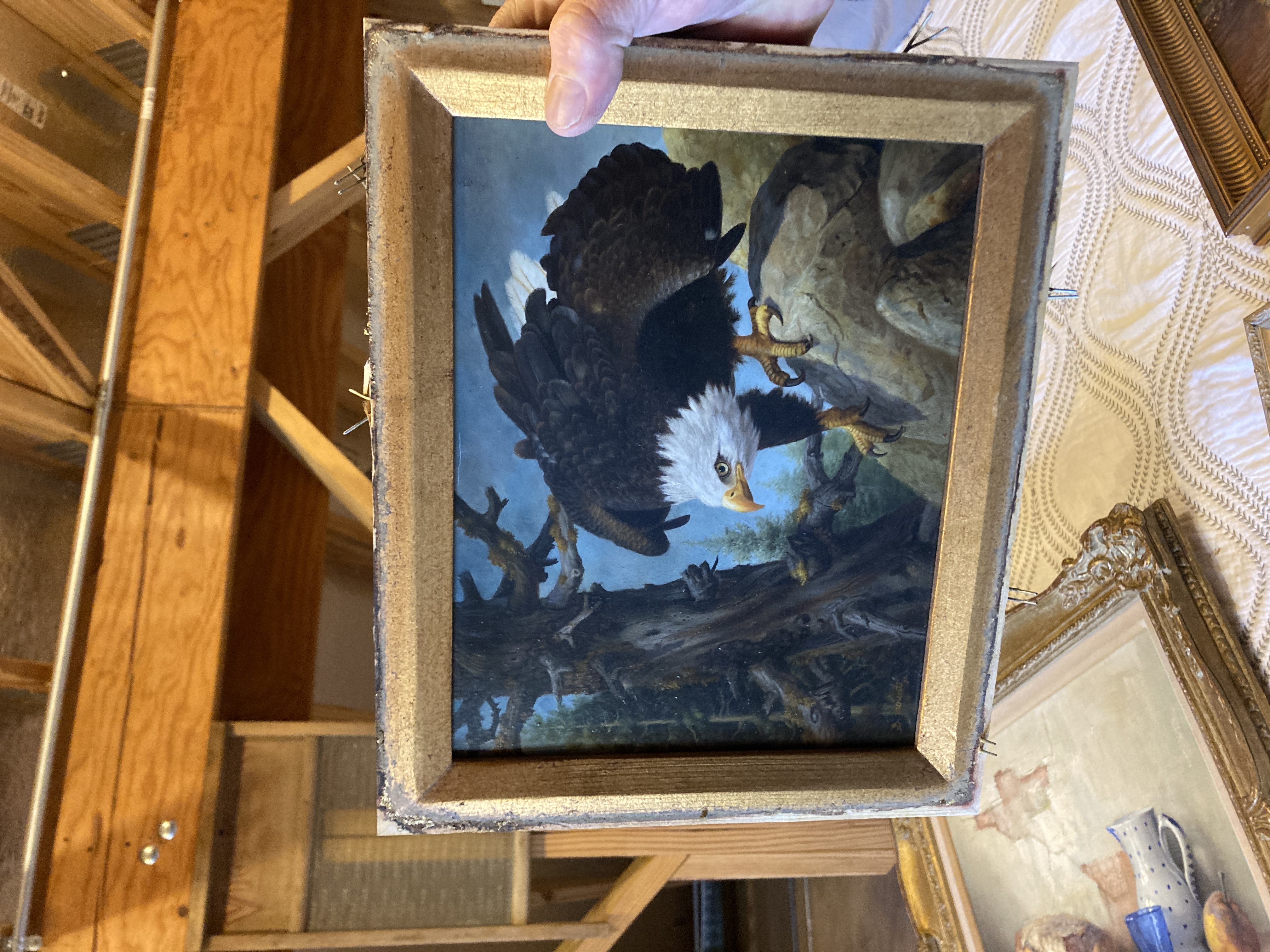 American Bald Eagle Oil Painting